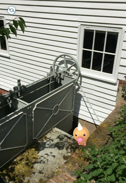 Pokémon spotted at Woods Mill